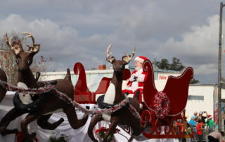 Christmas Parade Reindeer